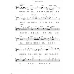 He Works Wonders pg2-500x500